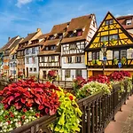 Des Oiseaux Colmar