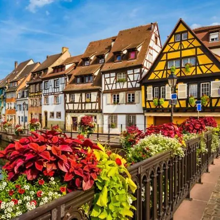 Des Oiseaux 科尔马