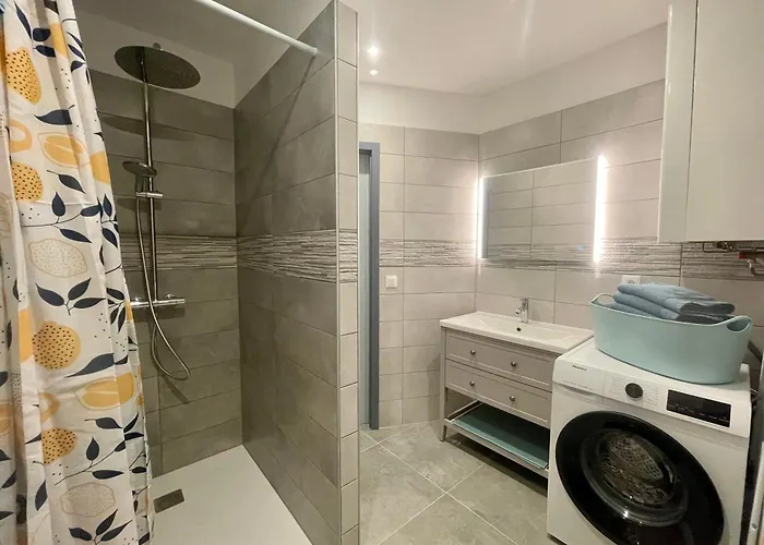 Des Oiseaux Appartement